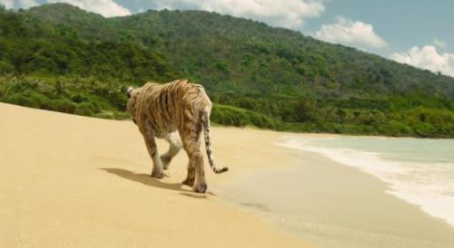 Tigre Richard Parker indo embora...