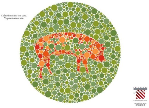 Propaganda de uma churrascaria