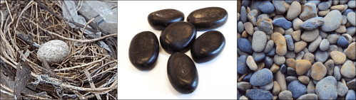 Ovo_Sementes_Pedras